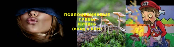 герыч Бородино