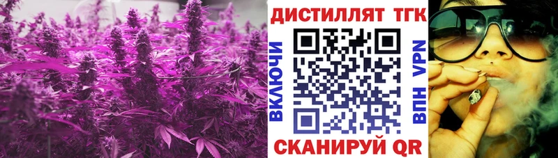 сколько стоит  hydra сайт  ТГК THC oil  Димитровград 