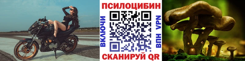 даркнет сайт  Димитровград  Галлюциногенные грибы Cubensis 